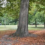 بيت ضيافة La Bocage
