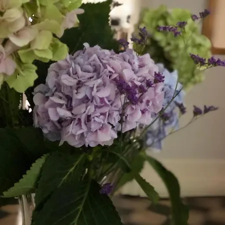 La Bocage 4* Μπορντό