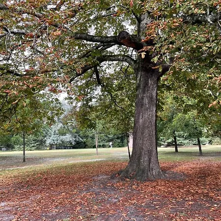 La Bocage Vendégház Bordeaux