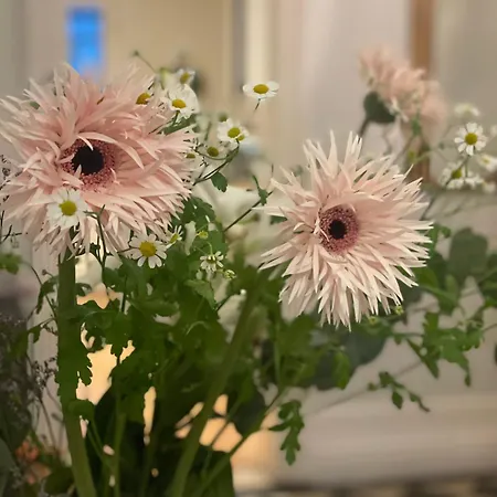 La Bocage 4* Μπορντό