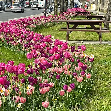 Casa de hóspedes La Bocage Bordéus