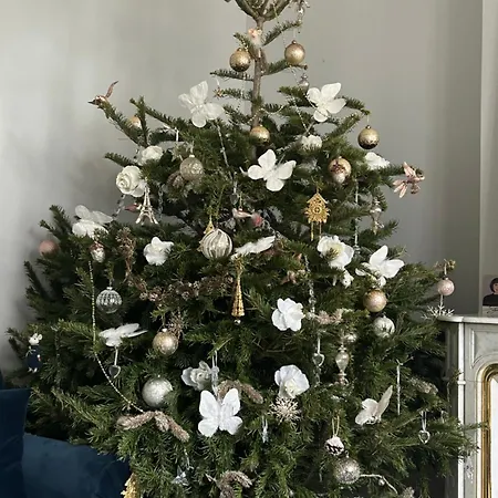 Vendégház La Bocage Bordeaux