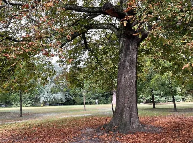La Bocage Pensjonat Bordeaux
