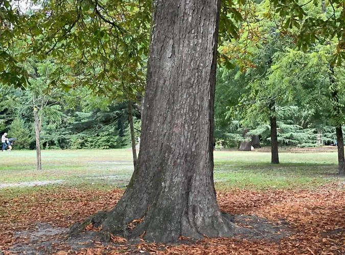 게스트하우스 La Bocage